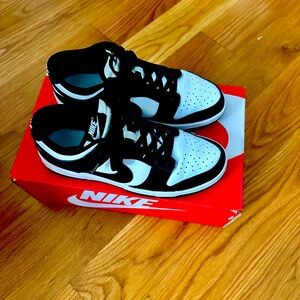 Nike ‘Panda’ Dunks